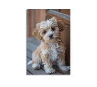 Canvas Wall Art 20"x30"-A Small, Fluffy Dog with Light Brown And White Fur, Sitting on A Wooden Surface -Home Decor Paintings for Home, Bedroom（Unframed ）