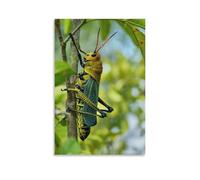Canvas Wall Art 24"x36"-A Colorful Grasshopper Clinging to A Tree Branch, with Vibrant Yellow, Green, And Black Patterns on Its Body And Wings -Home Decor Paintings for Home, Bedroom（Unframed ）