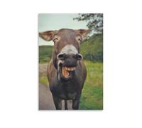Canvas Wall Art 24"x36"-A Donkey with Its Mouth Open, Showing Teeth, Standing on A Path -Home Decor Paintings for Home, Bedroom（Unframed ）