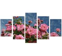 Canvas Wall Art - 5 Panel The Picture Print On Canva Sunrise Landscape Mountains, Posters And Prints Wall Art Living Room Home Decor M/With Frame 100 X 50 Cm-1823501728