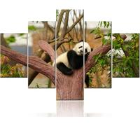 Canvas Wall Art 5 Pieces Animal Panda Painting The Picture Print On Canvas - Pictures Modern Artwork - Paintings For Living Room Bedroom Home Deocr/Without Frame 150 X 100 Cm Gift-5622488020