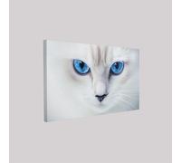 Canvas Wall Art 50 x 40 cm cat's eyes are blue Modern Prints Pictures White for Bedroom Office Bathroom Hallway Dining Room