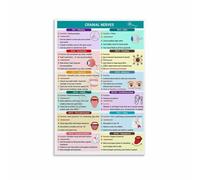 Canvas Wall Art Featuring 12 Cranial Nerves Nursing Cheat Sheet for Bedroom Decor(Unframed,16x24inch(40x60cm))