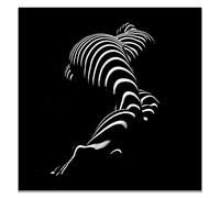 Canvas Wall Art Legs Hips Zebra Line Woman Black And White Canvas Painting Prints Poster Wall Art Picture Home Decor Living Bedroom Kitchen Home Decoration