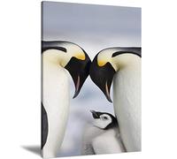 Canvas Wall Art Penguins And Chick Framed Prints Painting Modern Abstract Canvas Oil Painting Wall Art for Home Living Room Bedroom Decor Modern by Animal Print Ready to Hang 12x18inch
