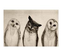 Canvas Wall Art Three Owls Canvas Print Artwork Black And White Watercolor Art Wall Art Paintings Modern Picture Print Unframed for Living Room Dinning Room Bedroom Bathroom Home Decor 16x24inch