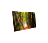 CanvasGeeks A Glorious Day Forest Trees Path Canvas Wall Art Picture Print in Green | Size: W36" x H24" x D40mm CanvasGeeks Green W36" x H24" x D40mm