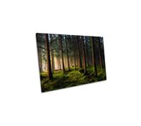 CanvasGeeks A Sense of Spring in the Forest Landscape Canvas Wall Art Picture Print in Green | Size: W24" x H16" x D20mm CanvasGeeks Green W24" x H16" x D20mm
