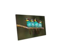 CanvasGeeks Bee-Eaters Resting Birds Nature Canvas Wall Art Picture Print in Green | Size: W36" x H24" x D40mm CanvasGeeks Green W36" x H24" x D40mm