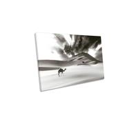 CanvasGeeks Camel Desert Sand Dune Canvas Wall Art Picture Print in Grey | Size: W30" x H20" x D20mm CanvasGeeks Grey W30" x H20" x D20mm