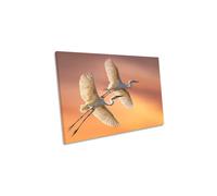 CanvasGeeks Eastern Great Egrets Birds Wildlife Orange Canvas Wall Art Picture Print | Size: W30" x H20" x D20mm CanvasGeeks Orange W30" x H20" x D20mm