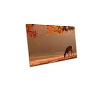 CanvasGeeks First Autumn Deer Wildlife Canvas Wall Art Picture Print | Size: W24" x H16" x D20mm CanvasGeeks Multicolor W24" x H16" x D20mm