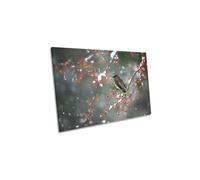 CanvasGeeks First Snow Wildlife Fruit Bird Canvas Wall Art Picture Print | Size: W30" x H20" x D20mm CanvasGeeks Multicolor W30" x H20" x D20mm