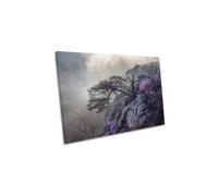 CanvasGeeks Life & Death Spring Flower Mountain Canvas Wall Art Picture Print | Size: W18" x H12" x D20mm CanvasGeeks Multicolor W18" x H12" x D20mm