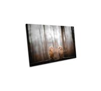 CanvasGeeks Love is in the Air Barn Owls Brown Canvas Wall Art Picture Print | Size: W24" x H16" x D20mm CanvasGeeks Brown W24" x H16" x D20mm