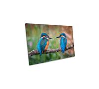 CanvasGeeks Sharing the Perch Kingfisher Birds Canvas Wall Art Picture Print in Blue | Size: W30" x H20" x D20mm CanvasGeeks Blue W30" x H20" x D20mm