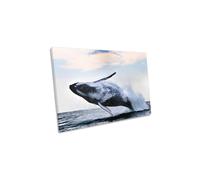 CanvasGeeks The Breach Humpback Whale Canvas Wall Art Picture Print in Blue | Size: W24" x H16" x D20mm CanvasGeeks Blue W24" x H16" x D20mm