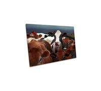 CanvasGeeks The Laughing Cow on the Farm Canvas Wall Art Picture Print | Size: W24" x H16" x D20mm CanvasGeeks Multicolor W24" x H16" x D20mm