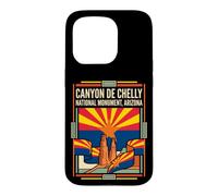 Canyon de Chelly National Monument Arizona Flag Travel Art Case for iPhone 15 Pro
