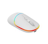 Canyon Mouse Mw-22 2In1 Bt/ Wireless Snow White