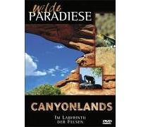 Canyonlands - Im Labyrinth der Felsen