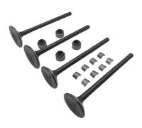 Canyoyi Intake Valve Exhaust Valves Seals for Polaris Predator 500 Limited Edition Outlaw 500 2003 2004 2005 2006 2007 3087982 3087981 24-066
