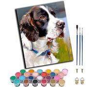 CAOGUANYU Paint by Numbers Kits for Adults,Gentle Springer Spaniel pet Portrait Painting by Number Kits On Canvas,DIY Color Acrylic Oil Paints Home Wall Decor 16x20inch/40×50CM,with Frame