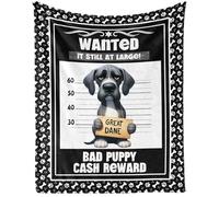 CaomeiWu Great Dane Dog Blanket, 80" x 60" Flannel Cute Dog Themed Stuffed Throw, Soft Nap Throw Blankets for Kids, Boys, Girls, Women, Men, Dane Lovers