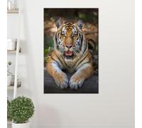 CAOXTART Majestic Tiger Posters and Prints, Canvas Wall Art: Wildlife Photography Modern Animals portrait Painting Home Decor(40x60cm/Inner frame)