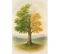 CAOXTART Tree of Seasons Wall Art Picture - Four Tree Seasons Print Poster, Nature Illustration for Living Room, Home Decor Painting 70x100cm Frameless
