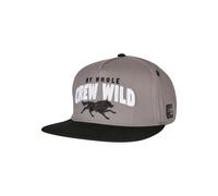 Cap Cayler & Sons Crew Wild Gris TU