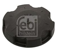 CAP, COOLANT TANK 46222