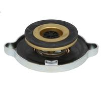 Cap, coolant tank FEBI 05959 for VOLVO F10 9.6 1976-1983