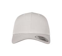 Cap Flexfit retro Argenté TU