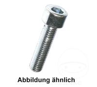Cap Head Allen Bolt M6X12mm 100 PCS