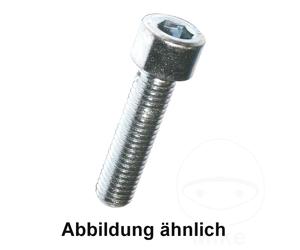Cap Head Allen Bolt M6X20mm 100 PCS