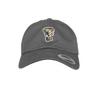 Cap Mister Tee trophy dad Gris TU