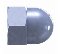 Cap Nut DIN1587 DIY Nails Screws Nut Fastening Packed In 50