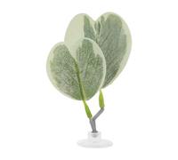 CAPASTEC Betta Fish Bed, Betta Hammock Pad with Suction Cup, Light Green