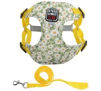 CAPASTEC Dog Harness and Lead Set with Reflective Stripes, Adjustable Harness for Walks, Harness for Small and Medium Dogs and Cats, L, Yellow
