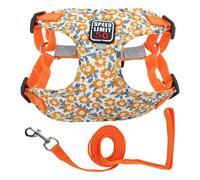 CAPASTEC Dog Harness and Lead Set with Reflective Stripes, Adjustable Harness for Walks, Harness for Small and Medium Dogs and Cats, L, Orange