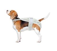 CAPASTEC Dog Nappies for Female Dogs Period Nappies Puppies Physiological Panties Animal Underwear Washable Reusable Trousers with Adjustable Straps Grey XL
