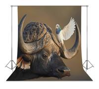 Cape Buffalo with Dovebird Funny Photography Backdrop Background Washable Photo Studio Backdrops for Party Video Shooting