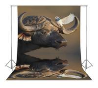 Cape Buffalo with Dovebird Funny Photography Backdrop Background Washable Photo Studio Backdrops for Party Video Shooting