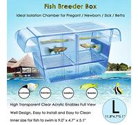 capetsma Fish Breeder Box Fish Hatchery Floating Fish Breeding Box with Removable Grating Perfect Fish Tank Divider for Agreesive Injured Pregnant Fishes,Blue,L