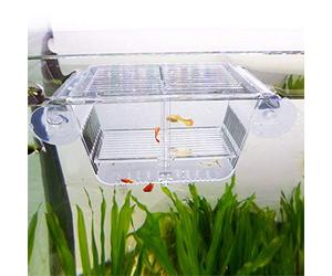 capetsma Fish Breeding Box, Acrylic Fish Isolation Box with Suction Cups, Aquarium Acclimation Hatchery Incubator for Baby Fishes Shrimp Clownfish and Guppy. Small Size (S)