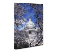Capitol Hill & Cherry Blossom Tree Canvas Print | Gallery Wrapped 30mm Frame Wall Art | 20x14 inches | Ready to Hang | Modern Floral Picture | Living Room Bedroom Lounge Office