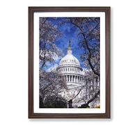 Capitol Hill & Cherry Blossom Tree Painting Framed Print | A2 Walnut Framed Wall Art | Ready to Hang | Modern Floral Picture | Living Room Bedroom Lounge Office