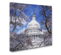 Capitol Hill & Cherry Blossom Tree Painting Modern Canvas Wall Art Print Ready to Hang, Framed Picture for Living Room Bedroom Home Office Décor, 20x20 Inch (50x50 cm)