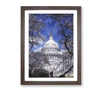 Capitol Hill & Cherry Blossom Tree Painting Modern Framed Wall Art Print, Ready to Hang Picture for Living Room Bedroom Home Office Décor, Walnut A2 (64 x 46 cm)